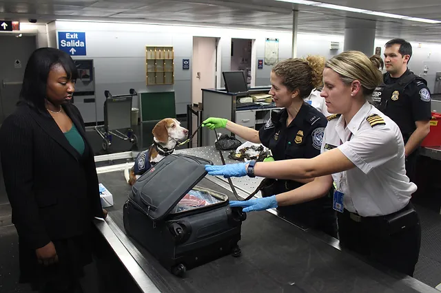 customs inspections