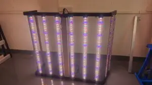 A Comprehensive Guide to LED Grow Lights